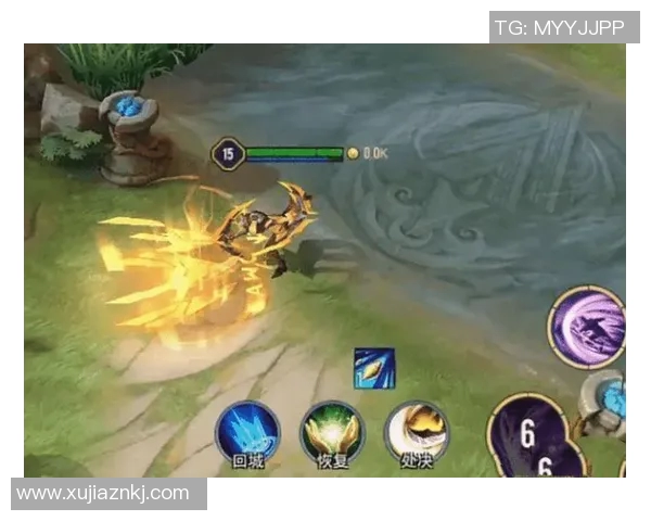 王者荣耀深度解析：揭秘FPX战队如何实现高效团队协作与默契配合